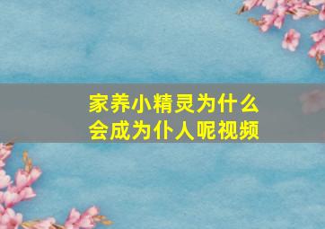 家养小精灵为什么会成为仆人呢视频