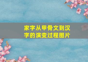 家字从甲骨文到汉字的演变过程图片