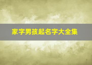 家字男孩起名字大全集