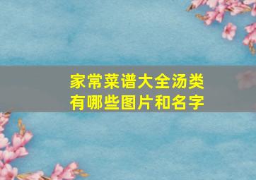 家常菜谱大全汤类有哪些图片和名字