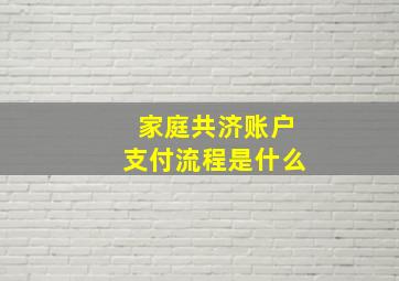 家庭共济账户支付流程是什么