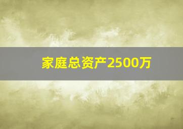 家庭总资产2500万