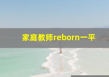 家庭教师reborn一平