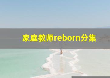 家庭教师reborn分集