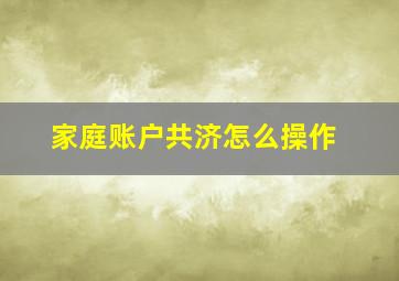 家庭账户共济怎么操作