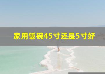 家用饭碗45寸还是5寸好