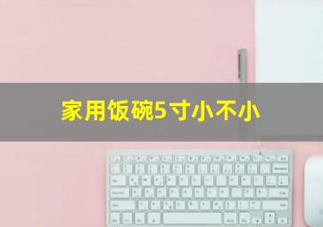 家用饭碗5寸小不小