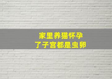 家里养猫怀孕了子宫都是虫卵