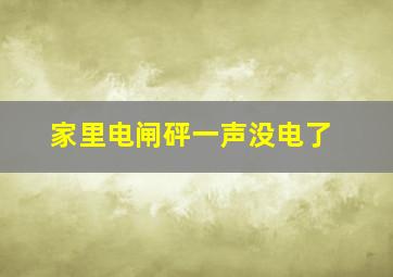 家里电闸砰一声没电了