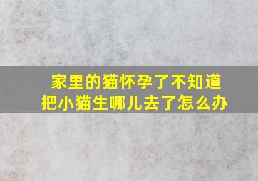 家里的猫怀孕了不知道把小猫生哪儿去了怎么办