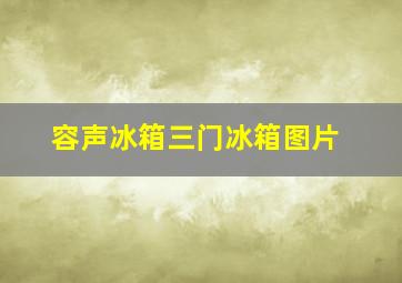 容声冰箱三门冰箱图片