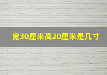 宽30厘米高20厘米是几寸