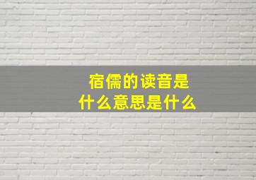 宿儒的读音是什么意思是什么