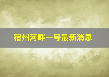 宿州河畔一号最新消息