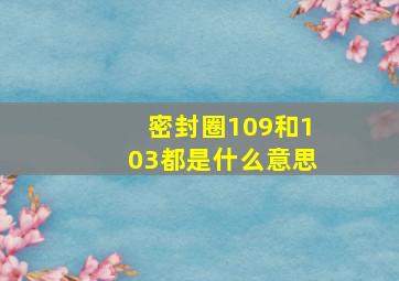 密封圈109和103都是什么意思