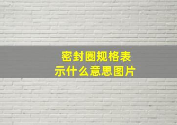 密封圈规格表示什么意思图片