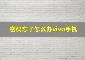 密码忘了怎么办vivo手机