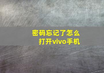 密码忘记了怎么打开vivo手机