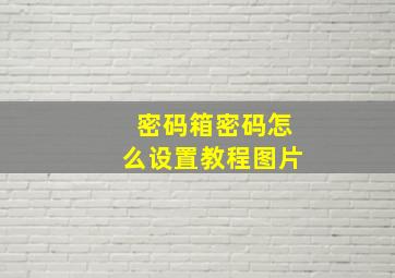 密码箱密码怎么设置教程图片