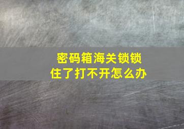 密码箱海关锁锁住了打不开怎么办