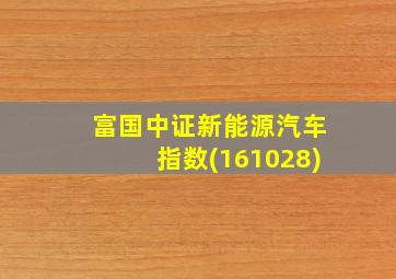 富国中证新能源汽车指数(161028)