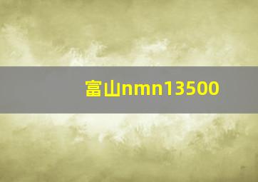 富山nmn13500