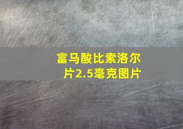 富马酸比索洛尔片2.5毫克图片