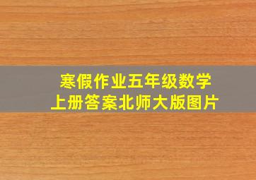 寒假作业五年级数学上册答案北师大版图片