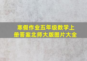 寒假作业五年级数学上册答案北师大版图片大全