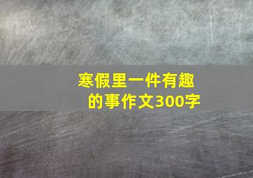 寒假里一件有趣的事作文300字