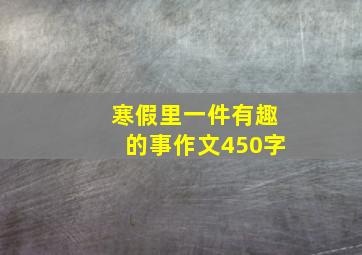 寒假里一件有趣的事作文450字