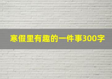 寒假里有趣的一件事300字