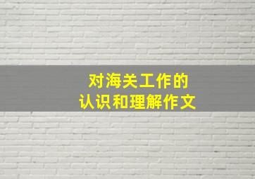 对海关工作的认识和理解作文