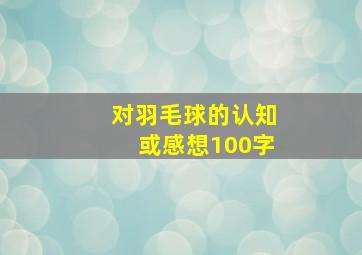 对羽毛球的认知或感想100字