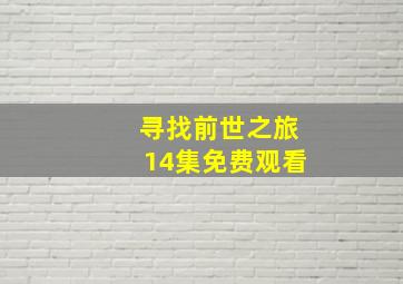 寻找前世之旅14集免费观看