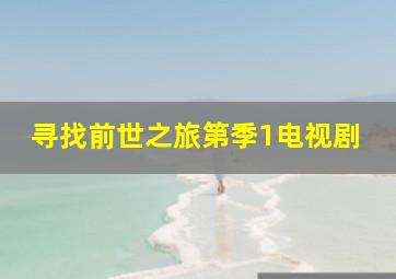 寻找前世之旅第季1电视剧