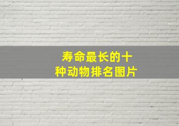 寿命最长的十种动物排名图片