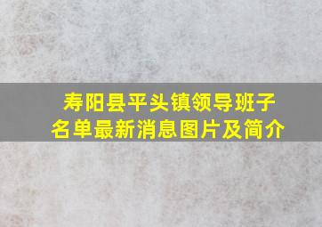 寿阳县平头镇领导班子名单最新消息图片及简介