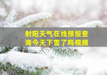 射阳天气在线预报查询今天下雪了吗视频