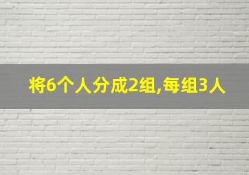 将6个人分成2组,每组3人