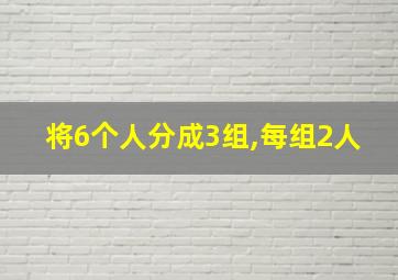 将6个人分成3组,每组2人