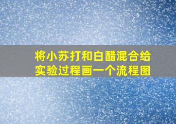 将小苏打和白醋混合给实验过程画一个流程图