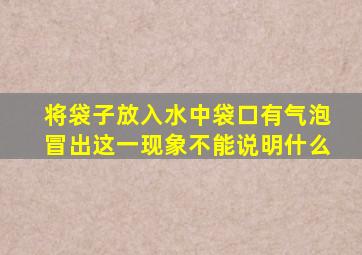 将袋子放入水中袋口有气泡冒出这一现象不能说明什么