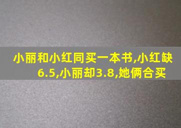 小丽和小红同买一本书,小红缺6.5,小丽却3.8,她俩合买