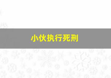 小伙执行死刑