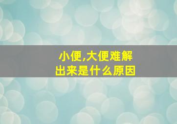 小便,大便难解出来是什么原因