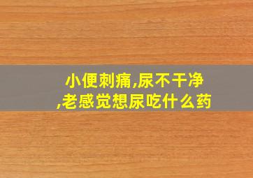 小便刺痛,尿不干净,老感觉想尿吃什么药