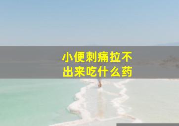 小便刺痛拉不出来吃什么药