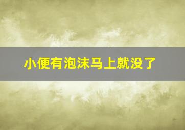 小便有泡沫马上就没了