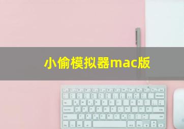 小偷模拟器mac版